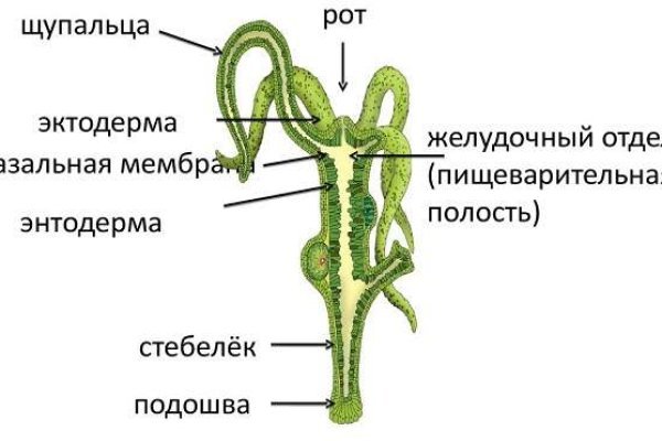 Сколько стоит мефедрон